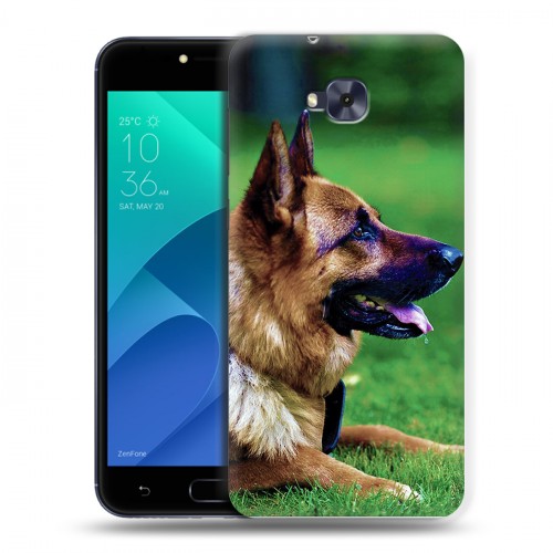 Дизайнерский пластиковый чехол для ASUS ZenFone 4 Selfie Собаки