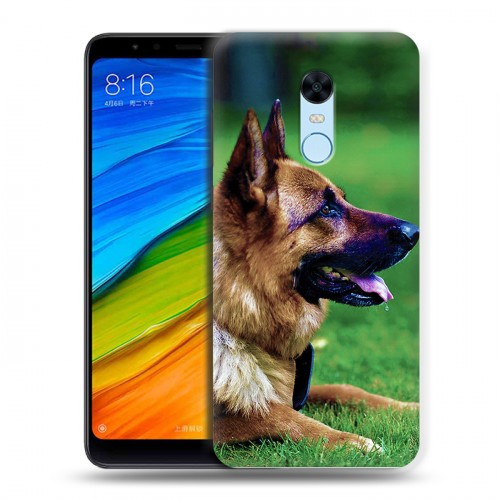 Дизайнерский пластиковый чехол для Xiaomi RedMi 5 Plus Собаки