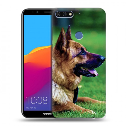 Дизайнерский пластиковый чехол для Huawei Honor 7C Pro Собаки