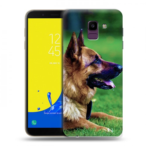 Дизайнерский пластиковый чехол для Samsung Galaxy J6 Собаки