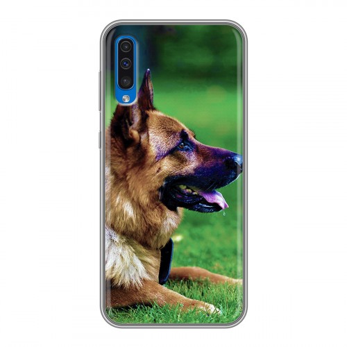 Дизайнерский пластиковый чехол для Samsung Galaxy A50 Собаки