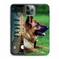 Дизайнерский пластиковый чехол для Iphone 11 Pro Max Собаки