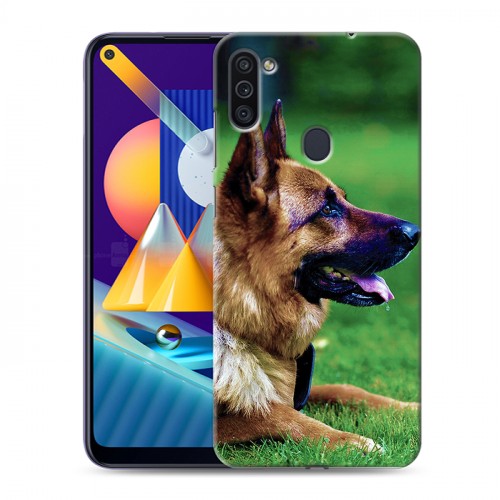Дизайнерский пластиковый чехол для Samsung Galaxy M11 Собаки