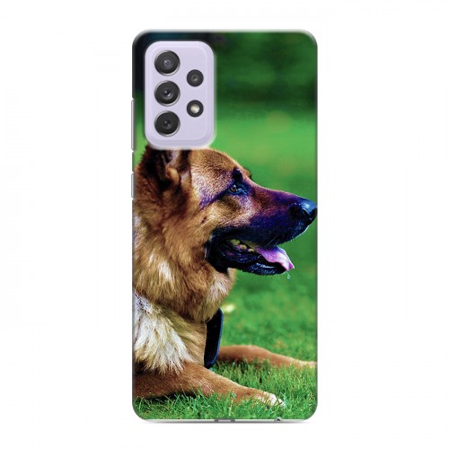 Дизайнерский пластиковый чехол для Samsung Galaxy A72 Собаки