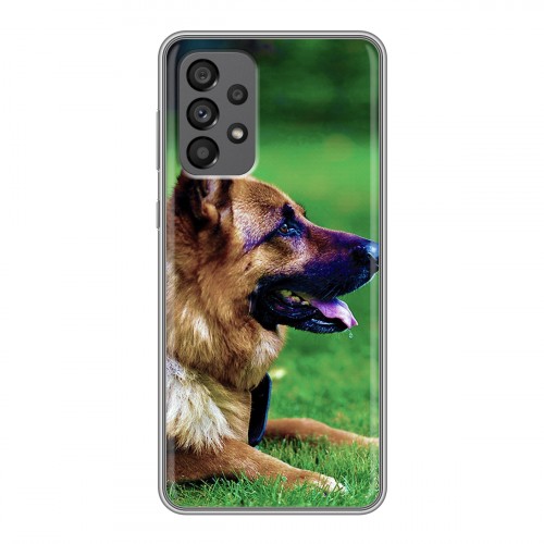 Дизайнерский силиконовый чехол для Samsung Galaxy A73 5G Собаки