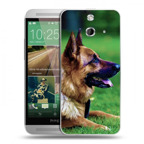 Дизайнерский пластиковый чехол для HTC One E8 Собаки