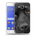 Дизайнерский пластиковый чехол для Samsung Galaxy J7 Собаки