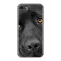 Дизайнерский силиконовый чехол для Iphone 7 Собаки