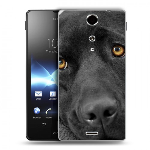 Дизайнерский пластиковый чехол для Sony Xperia TX Собаки