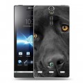 Дизайнерский пластиковый чехол для Sony Xperia S Собаки