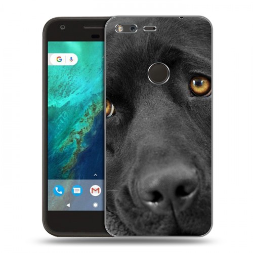 Дизайнерский пластиковый чехол для Google Pixel Собаки
