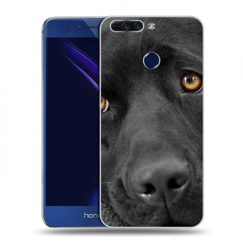 Дизайнерский пластиковый чехол для Huawei Honor 8 Pro Собаки