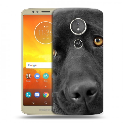 Дизайнерский пластиковый чехол для Motorola Moto E5 Собаки