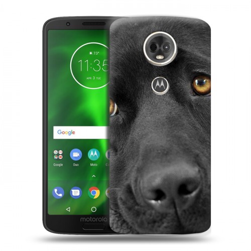 Дизайнерский пластиковый чехол для Motorola Moto E5 Plus Собаки