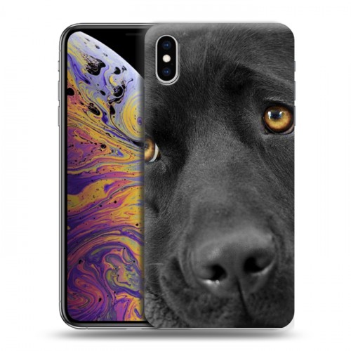 Дизайнерский силиконовый чехол для Iphone Xs Max Собаки