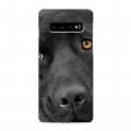 Дизайнерский силиконовый чехол для Samsung Galaxy S10 Собаки