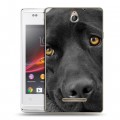 Дизайнерский пластиковый чехол для Sony Xperia E Собаки