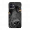 Дизайнерский силиконовый чехол для Iphone 12 Собаки