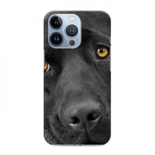 Дизайнерский силиконовый чехол для Iphone 13 Pro Собаки