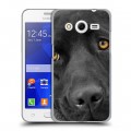 Дизайнерский пластиковый чехол для Samsung Galaxy Core 2 Собаки
