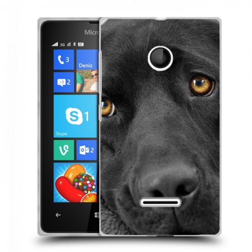 Дизайнерский пластиковый чехол для Microsoft Lumia 435 Собаки