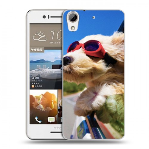 Дизайнерский пластиковый чехол для HTC Desire 728 Собаки