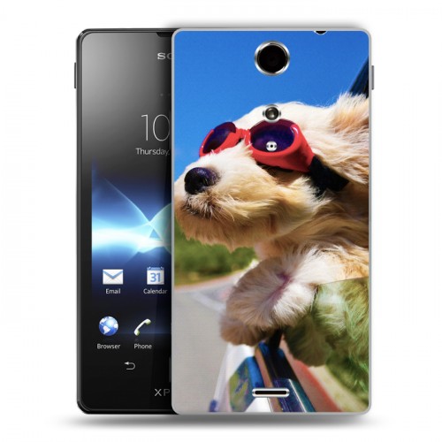 Дизайнерский пластиковый чехол для Sony Xperia TX Собаки