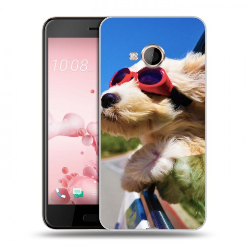 Дизайнерский пластиковый чехол для HTC U Play Собаки
