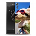 Дизайнерский пластиковый чехол для Sony Xperia XZs Собаки