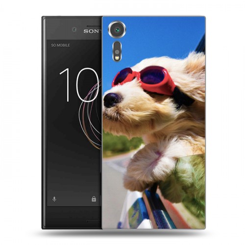 Дизайнерский пластиковый чехол для Sony Xperia XZs Собаки