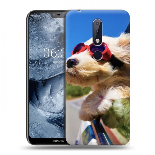 Дизайнерский пластиковый чехол для Nokia 6.1 Plus Собаки