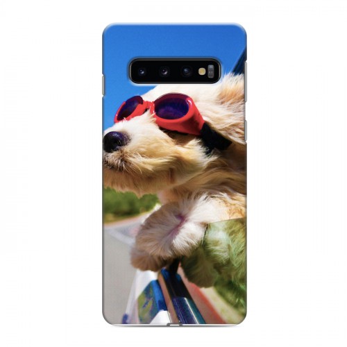 Дизайнерский силиконовый чехол для Samsung Galaxy S10 Собаки