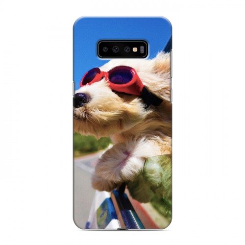 Дизайнерский пластиковый чехол для Samsung Galaxy S10 Plus Собаки