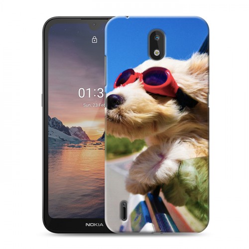 Дизайнерский силиконовый чехол для Nokia 1.3 Собаки