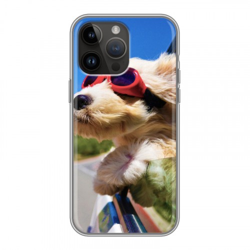 Дизайнерский пластиковый чехол для Iphone 14 Pro Max Собаки