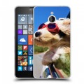 Дизайнерский пластиковый чехол для Microsoft Lumia 640 XL Собаки