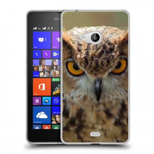 Дизайнерский пластиковый чехол для Microsoft Lumia 540 Совы