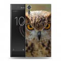 Дизайнерский пластиковый чехол для Sony Xperia XZs Совы