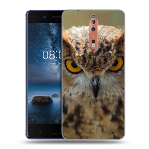 Дизайнерский пластиковый чехол для Nokia 8 Совы