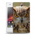 Дизайнерский пластиковый чехол для Sony Xperia E Совы