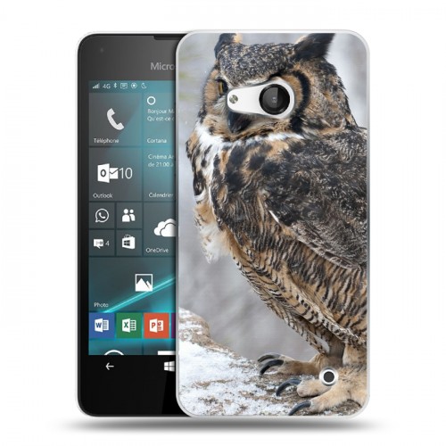 Дизайнерский пластиковый чехол для Microsoft Lumia 550 Совы