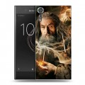 Дизайнерский пластиковый чехол для Sony Xperia XZs Хоббит