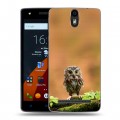 Дизайнерский силиконовый чехол для Wileyfox Storm Совы