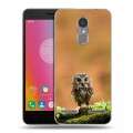 Дизайнерский силиконовый чехол для Lenovo K6 Совы