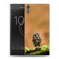 Дизайнерский пластиковый чехол для Sony Xperia XZs Совы