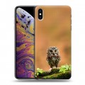 Дизайнерский силиконовый чехол для Iphone Xs Max Совы