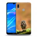 Дизайнерский пластиковый чехол для Huawei Y6 (2019) Совы