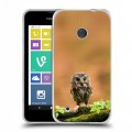 Дизайнерский пластиковый чехол для Nokia Lumia 530 Совы