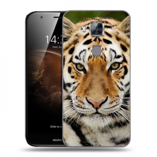 Дизайнерский пластиковый чехол для Huawei G8 Тигры