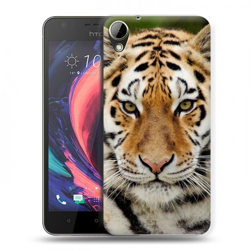 Дизайнерский пластиковый чехол для HTC Desire 10 Lifestyle Тигры